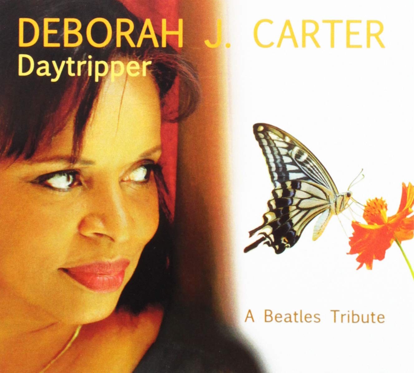 Deborah J. Carter Day Tripper CD DT7101 NEW