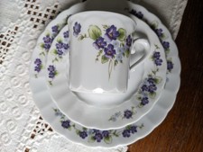 Eschenbach Form 500 Bayreuth Dekor Veilchen  Kaffeegedeck 1 von 5 neuwertig