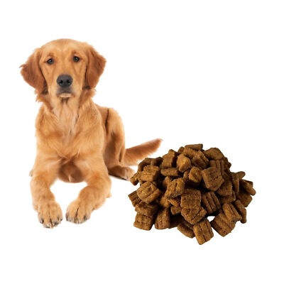 10kg Nourriture pour chiens Croquettes toutes races Universel 2x5kg