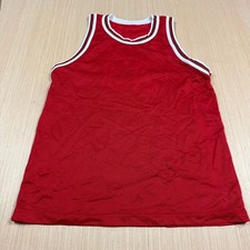 Vintage 90s Champion Chicago Bulls Scottie Pippen Blank Front Jersey men's Small