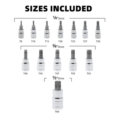 13tlg Torx Bit Steckschlüsselsatz T8 -T60 bit set S2 Alloy Steel