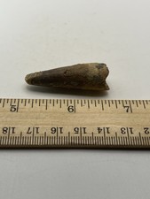 Spinosaurus 1.75” TOOTH  Teeth Dinosaur Fossil before T Rex Cretaceous F63