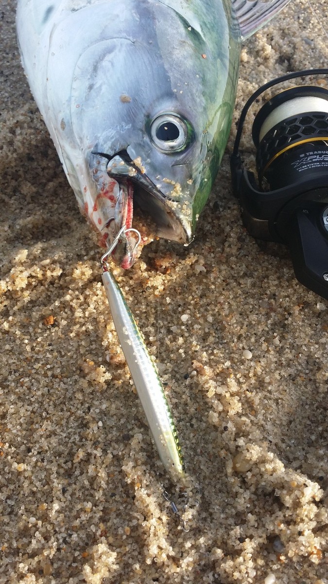artificielle hard bait Rapture MAGNETO 190mm 44.0gr slow sinking