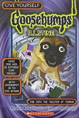 FREE SHIPPING - #38 Into the Twister of Terror by R. L. Stine