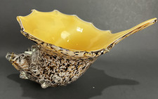 Hand Blown Art Glass Seashell Speckled Conch read