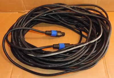 Seismic Audio 12AWG 100ft. Speakon Speaker Cable