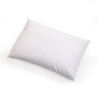 Buckwheat Traditional Bed Pillow (14" x 21")