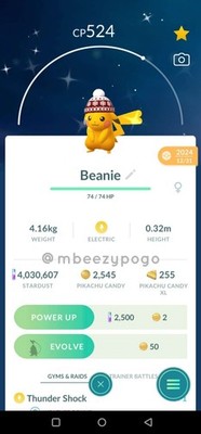 Shiny Winter Beanie Pikachu ,Pokemon Go