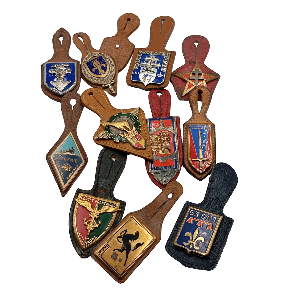 Lot D’insignes Ski Montagne – Médaille Française F24 – CBR05/2025 – Collection