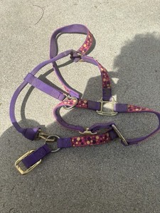 Nylon Horse Halter and Average Horse Weaver Purple Pink Pattern