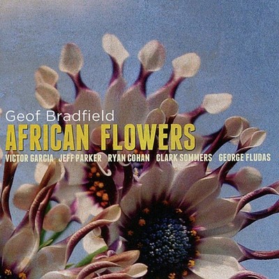 Geof Bradfield African Flowers (CD) (US IMPORT)