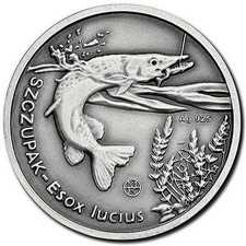 Polonia 2008 silver 100 Zlotych Szczupak Pike Fish Fisch Poissons Pesce Ryby ok