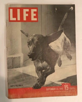 LIFE September 23,1946 Cats Advertising Pro Football / Ted Williams / Princeton