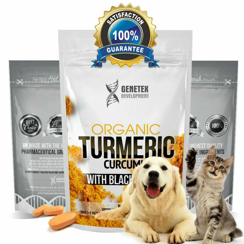 Best cat food 2025 for arthritis