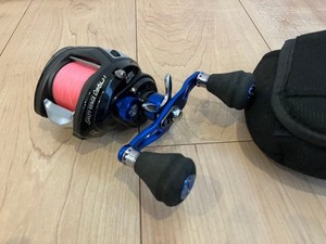 Abu Garcia Salty Stage | eBay