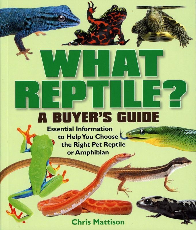 What Reptile Book Complete Guide For Beginners Food Breed Health Care Lizard