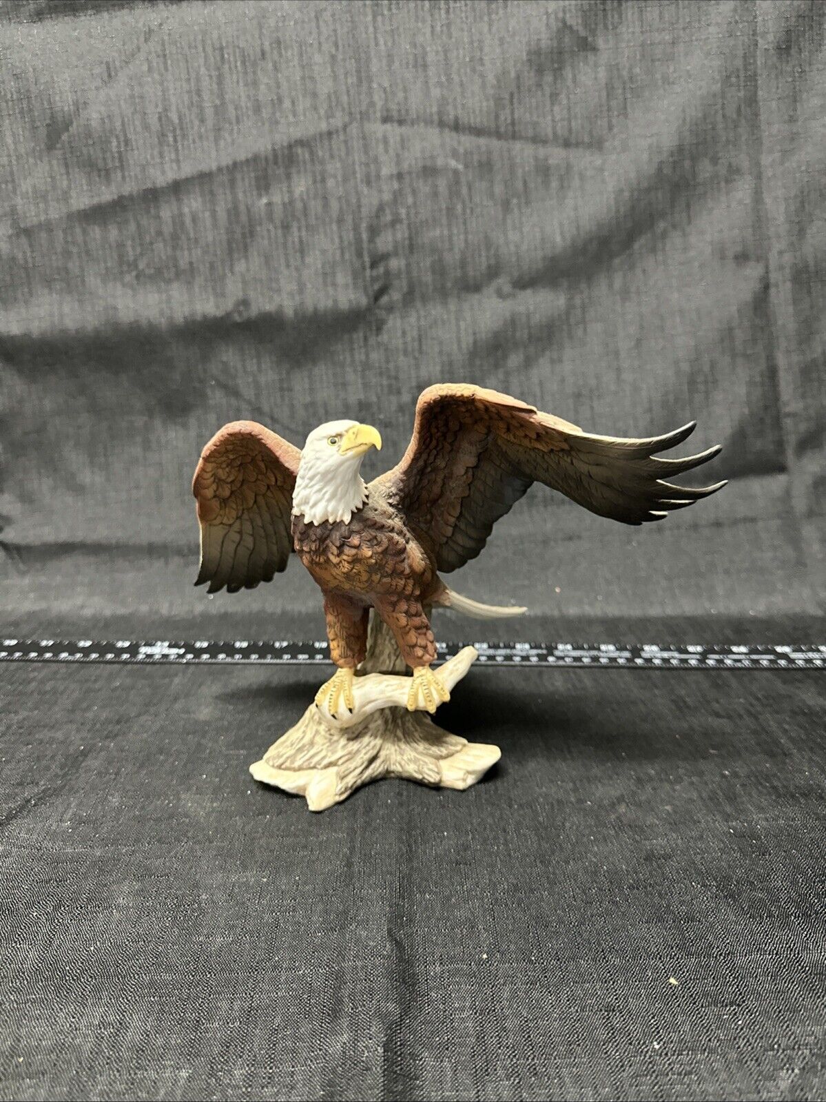 Picture 1 of 5