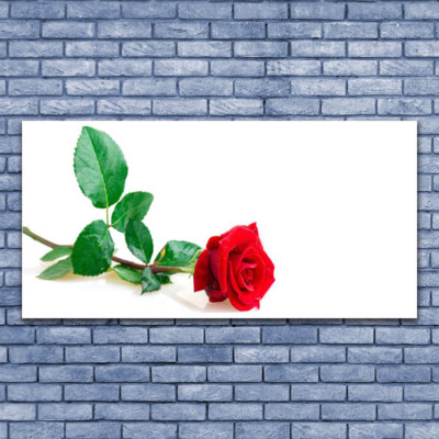 Impression sur verre acrylique Image Tableau 140x70 Floral Rose
