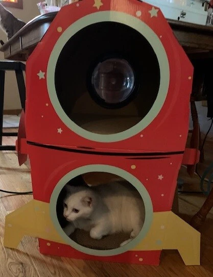 Retro Spaceship Cat Scratcher with Bubble - by Boots & Barkley-NIB!! - Image 3 of 3