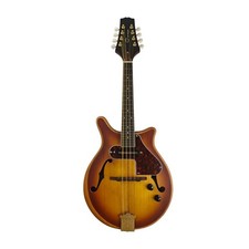 Caraya Modernised Electric Mandolin - Sunburst DMA40E