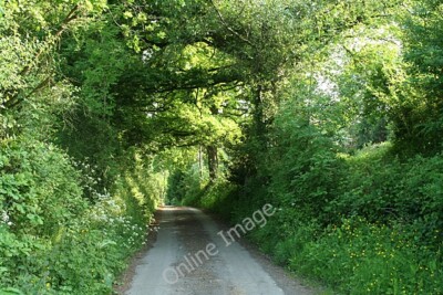 Photo 6x4 Holcombe Burnell: lane above Rughouse Bilsdon Descending into w c2010