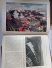 Foto 10 di 10