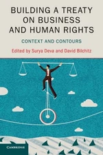 Deva - Building a Treaty on Business and Human Rights - New paperback  - X555z