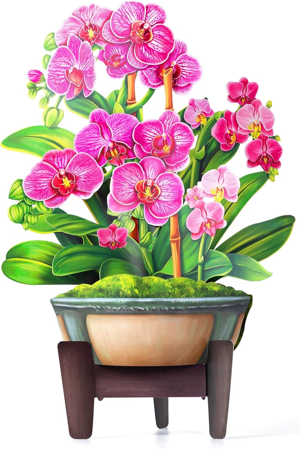 Airpark Pop Up Flower Card, 3D Paper Flowers Bouquet – 14" Orchids, Pink 