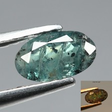  on The Hot Collector