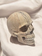 ChiselCraft Hand Carved  13cm Wooden Skull With Cow Bone Teeth Movable Jaw