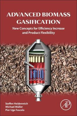 Advanced Biomass Gasification : New Concepts for Efficiency Increase and ...