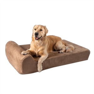 largest dog bed