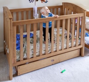 ebay boori cot
