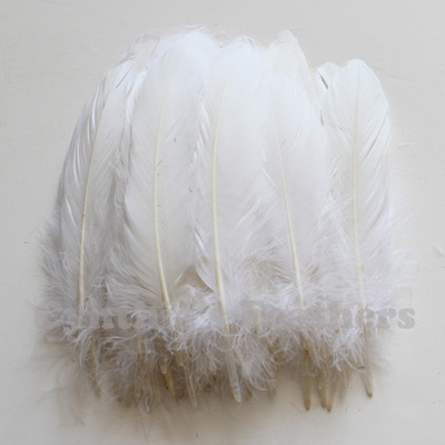Turkey Feathers, White Turkey Round Quill Feathers 6-8 inches 50 pcs