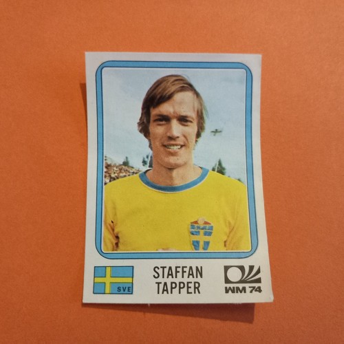 PANINI ARGENTINA 78 WORLD CUP 78 STICKER REMOVED RECUP