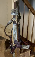 Leather Horse Show Halter with Silver and Gold Accents w/ Leather Chain Lead