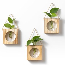   GARDEN REPUBLIC  Propagation Stations Set of 3 - Propagation Vases for Pla...