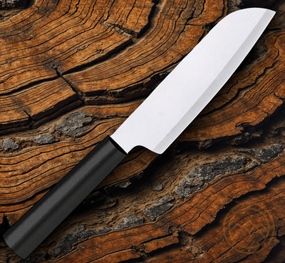 Rada Cutlery Cook's Utility Kitchen Knife 4.75'' T420 Steel Blade Resin Handle
