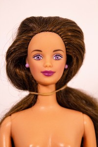 barbie doll with brown hair and brown eyes