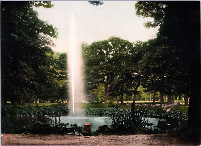 Germany, Bad Harzburg. Under the Oaks.   vintage photochrome print, wine