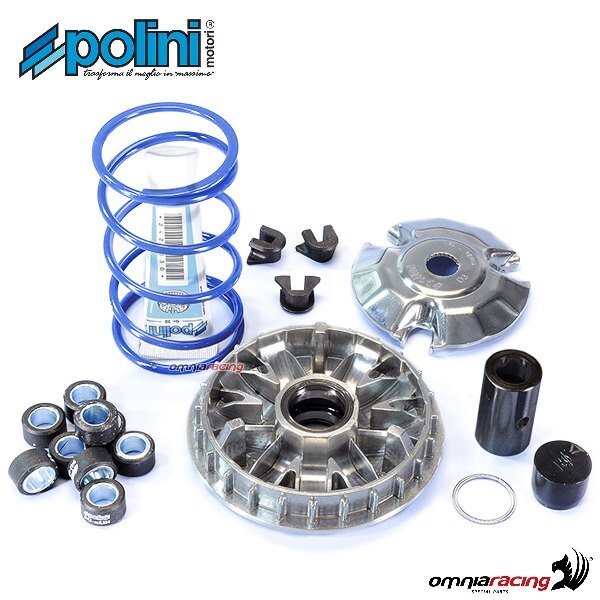 Polini hi-speed variator for Piaggio Carnaby 250