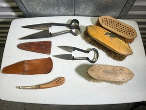 Horse Grooming f.d. germany farrier hoof care ball brothers+CCC scissors brushs