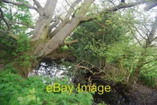 Photo 6x4 Wooded pond by the Sussex Ouse Valley Way Scayne's Hill  c2010