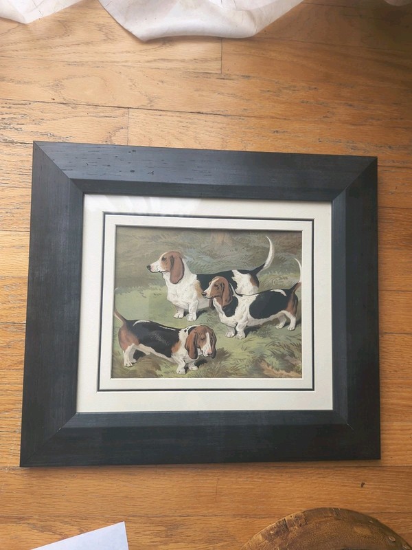 Basset Hound Portrait Frame