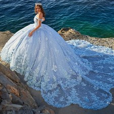 Quinceanera Dresses Ball Gown Off Shoulder Tulle Applique Puffy Sweet 16 Dresses