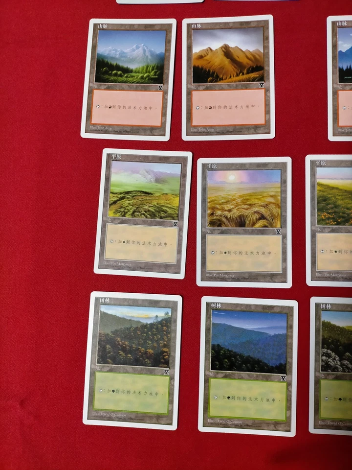 MTG 20 Land 5th V Symbol Simplified Chinese (14Mint & 5NM & 1EX) - Image 4 of 4