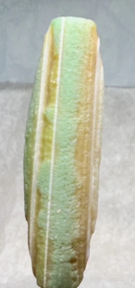 Talismán mongol Gobi desierto ágata 2 ojos cuentas Dzi, líneas de gusano de seda colorido🔥 Foto 2 de 4