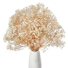 Dried Baby's Breath Flowers Bouquet 17 inch Natural White Dried Flowers Babys...