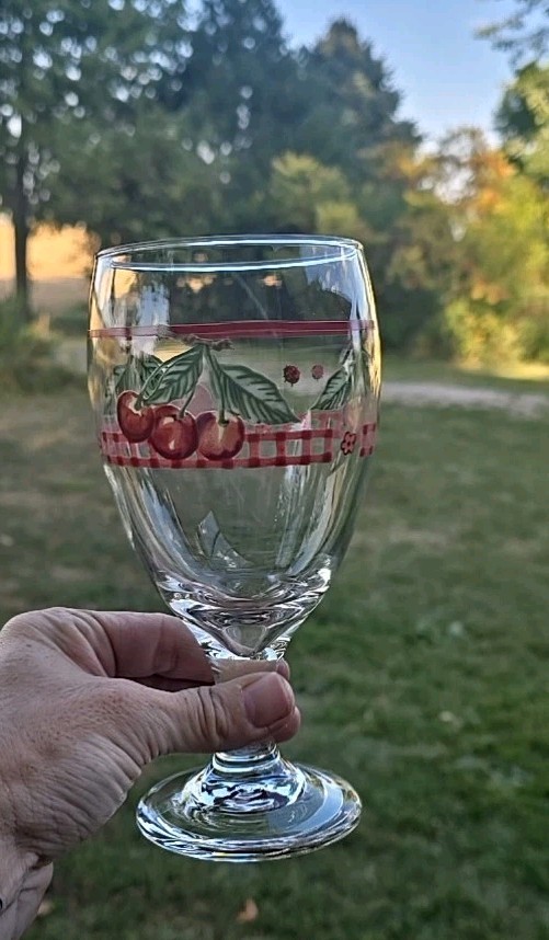 Libbey Pfaltzgraff DELICIOUS  7" Iced Tea Glass 🍒 Cherries & Ladybugs 🐞 