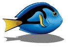 Blue Tang Porcelain Swimming Pool Mosaic